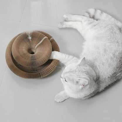 Transformable Kitty Kurlz Cat Toy Wear-Resistant No Crumbs Cat Accordion Magic Organ Resistant To Scratching Ball Scratch Pad