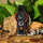 Sierra Sifflet Aventure 7 en 1 | Multifonctionnel, Résistant, Compact