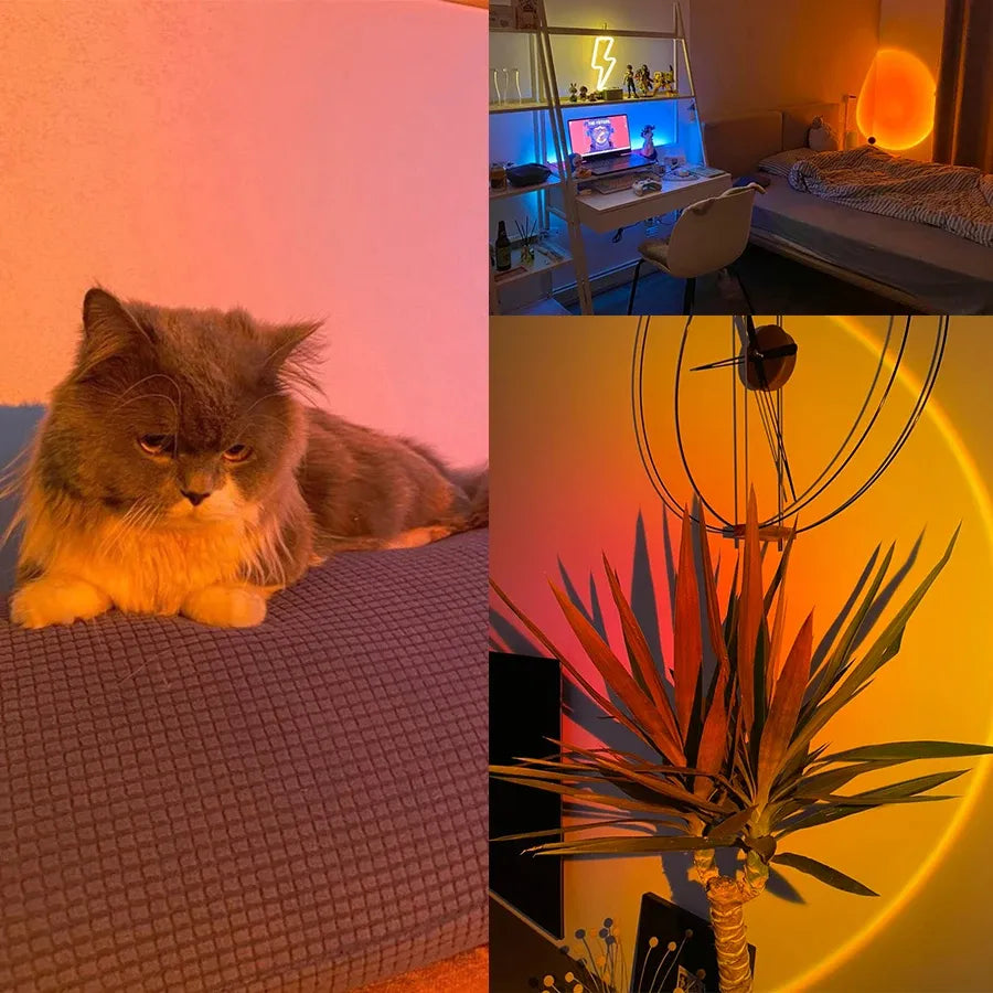 Soleil Lampe de Projecteur | LED Multicolore, Réglable à 360 Degrés