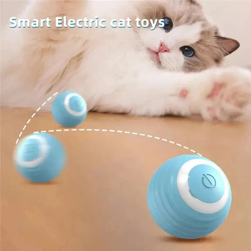 Magic Cat Ball Toy