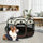 Portable Pet Play Pen